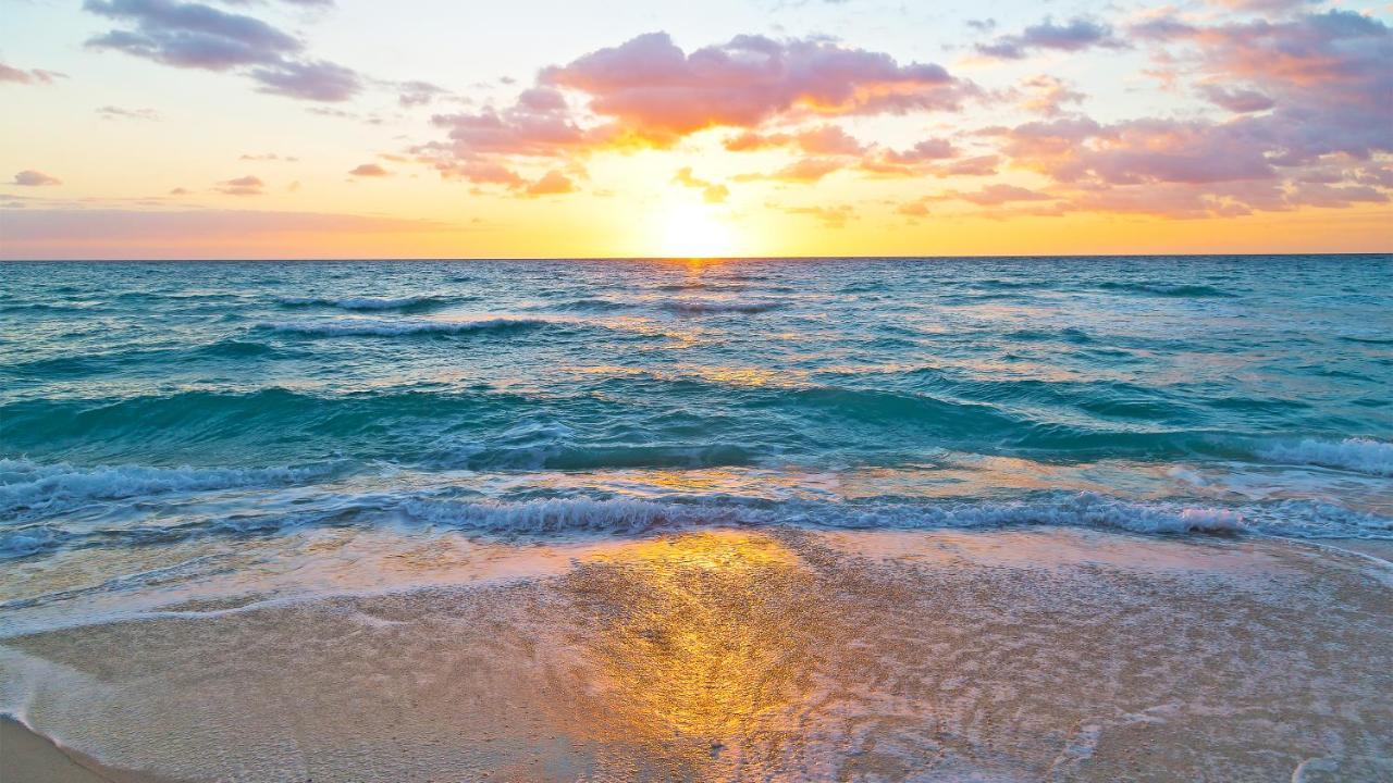 Budget Friendly Condo Perfect For A Romantic Getaway Within Walking Distance To The Beach! Gulf Shores Exteriör bild